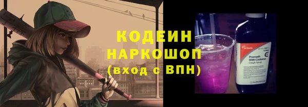 дживик Билибино