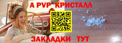 ПСИЛОЦИБИНОВЫЕ ГРИБЫ Гагарин