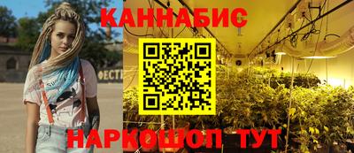 СК Гатчина