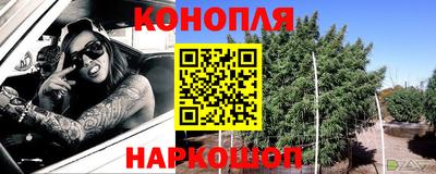 СК Гатчина