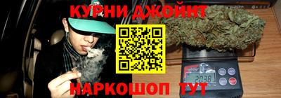СК Гатчина