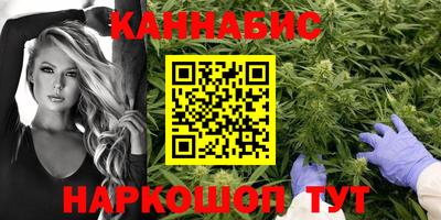 СК Гатчина
