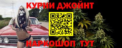 СК Гатчина
