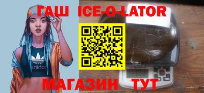 СК Гатчина