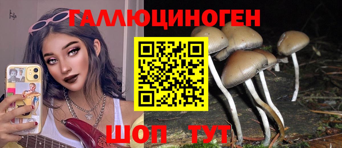 Псилоцибиновые грибы Psilocybine cubensis Азнакаево