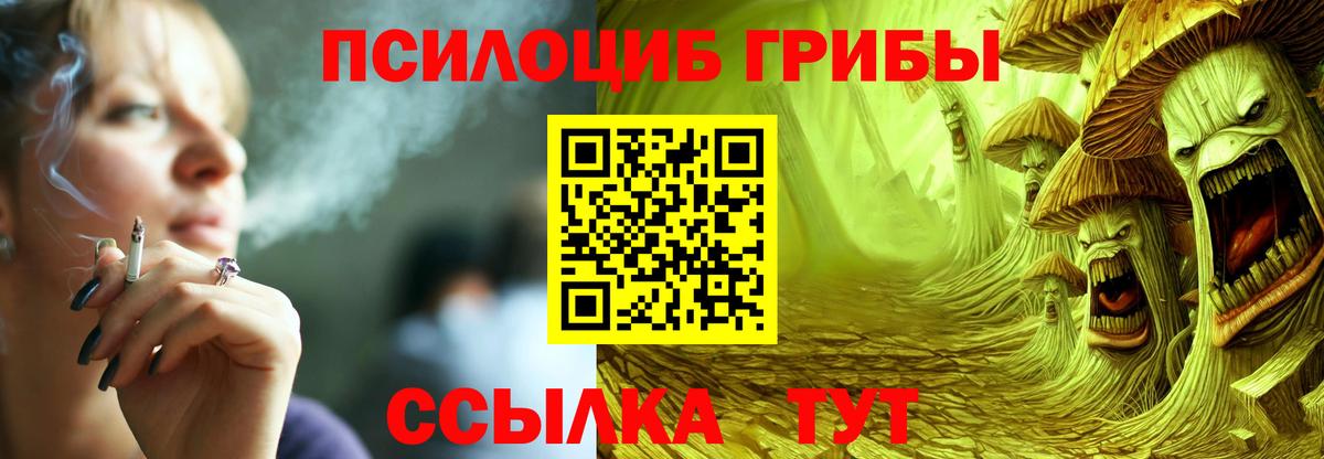 Галлюциногенные грибы мицелий  Вход с VPN  Азнакаево 