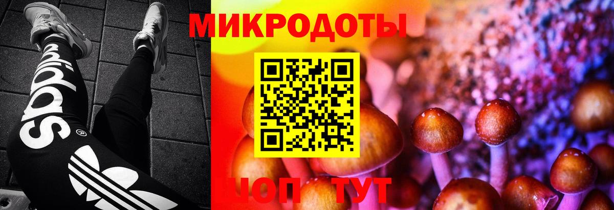 купить наркотики цена  Псилоцибиновые грибы мицелий  Вход с VPN  Азнакаево  Галлюциногенные грибы Magic Shrooms 